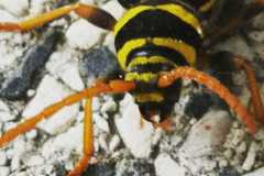 IMG_20190624_205840_302