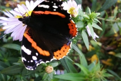 IMG_20191016_094310_143