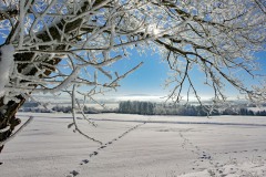 Blick-auf-den-geplanten-Trassenverlauf-Richtung-Fattigau