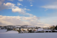 Blick-auf-die-Ringsiedlung-u-nd-Naturheilvereinsgärten