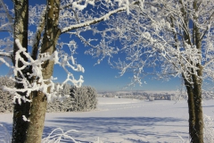 Blick-von-der-Autengrün-Richtung-Ringsiedlung