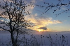 Blick-von-der-Streuobstwiese-Richtung-Fattigau-im-Morgengrauen